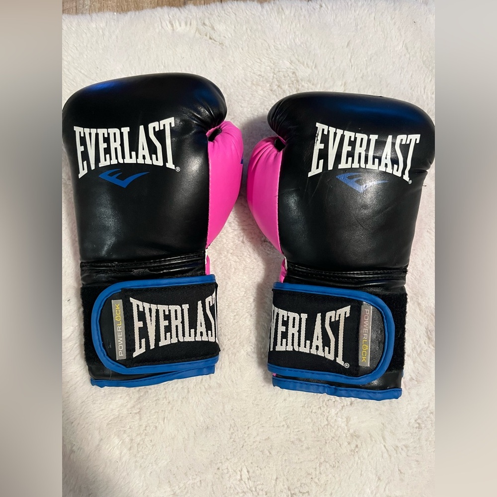 Everlast Boxing Gloves